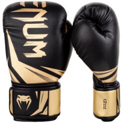 Boxing gloves Challenger 3.0 Venum black/gold