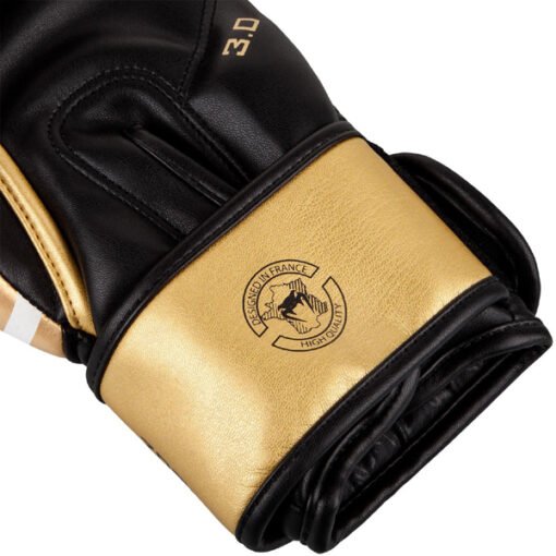Boxing gloves Challenger 3.0 Venum