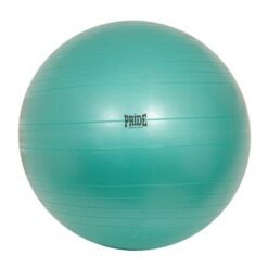 exercise-ball-pride-7041