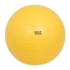exercise-ball-pride1-7041