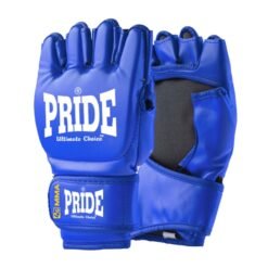MMA Handschuhe 4GLK Pride blau