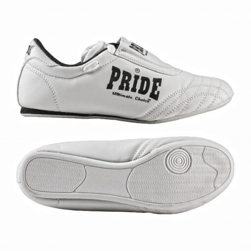 Martial Arts Shoes T model Pride