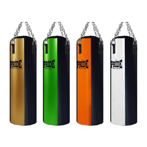 Pro punching bag Multicolor filled Pride with two carbines and a spring 