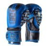 Boxing Gloves Manhattan Pride blue black