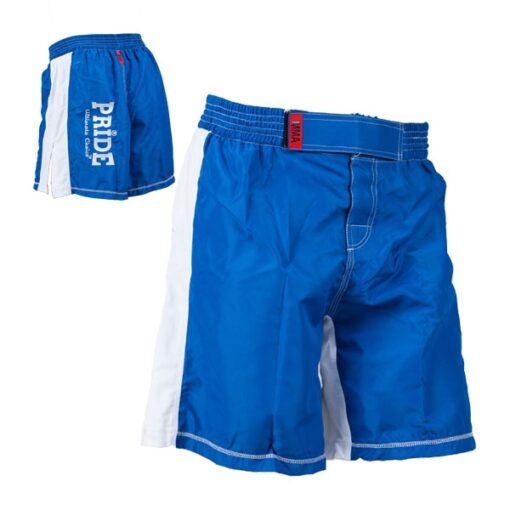 MMA shorts American style blue with embroidered logo Pride