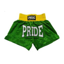 Kickboxing and Muay Thai Shorts Pride green/yellow