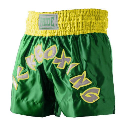 Professional kickboxing shorts Pride green with a grey inscription