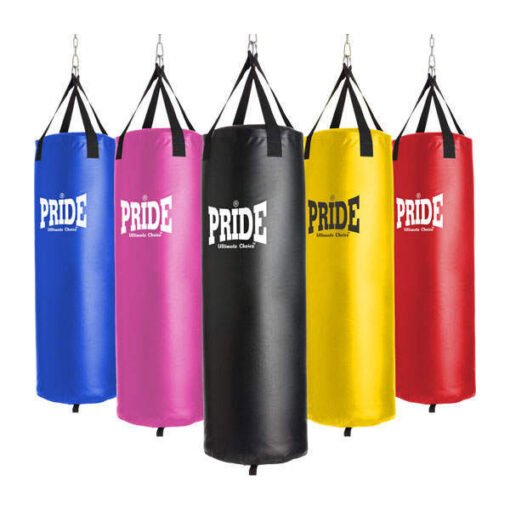 Punching Bag Bronx empty Pride, different colors available