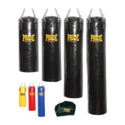 Professional Punching Bag Empty | Pride