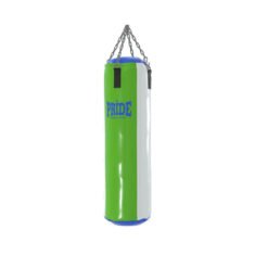 Pro punching bag Multicolor empty Pride green-white