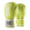 Boxing gloves NG Pride green