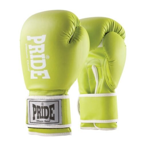 Boxing gloves NG Pride green