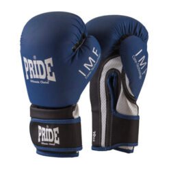 Boxing Gloves Matt Pride blue